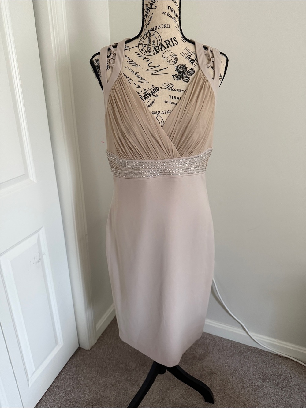 Badgley Mischka dress